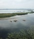 Set off on the water and observe the birds up close, directly from your canoe, in Eforie Nord