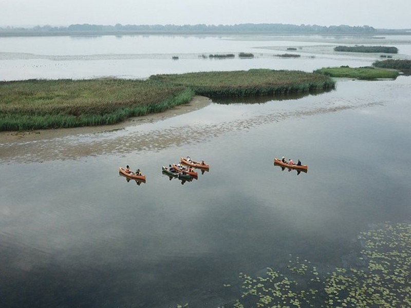 Set off on the water and observe the birds up close, directly from your canoe, in Eforie Nord