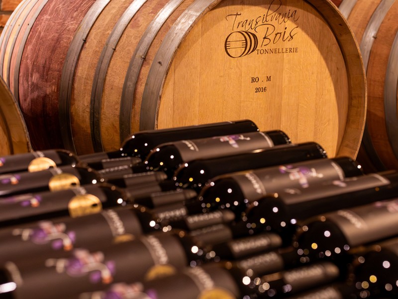 Degustare de vin si branzeturi maturate artizanal: O experienta autentica, in Valcea