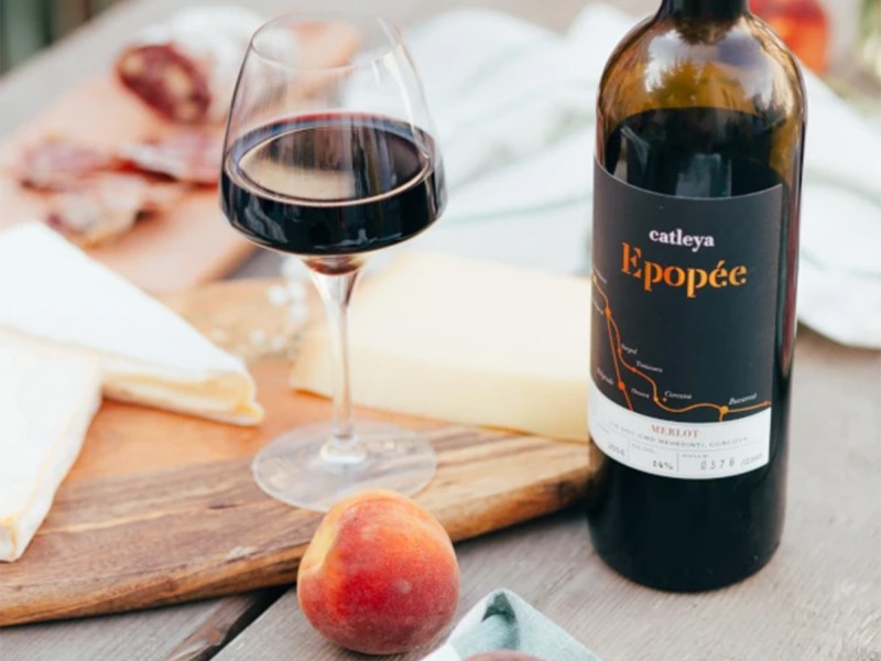 Degustare de vin si tur de crama in Mehedinti: Arome care te cuceresc