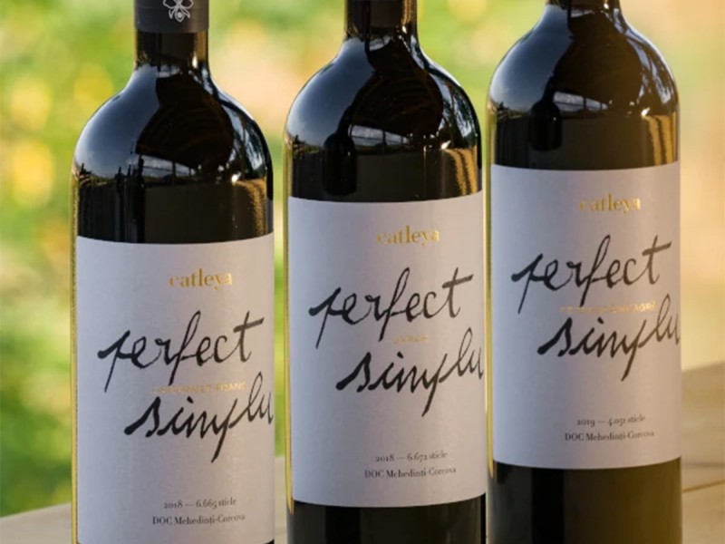 Wine tasting and cellar tour in Mehedinti: Aromas that captivate you