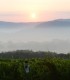 Wine tasting and cellar tour in Mehedinti: Aromas that captivate you