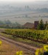 Wine tasting and cellar tour in Mehedinti: Aromas that captivate you