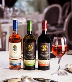 Wine Tasting for Groups in Prahova - Wine, Joy and Friends
