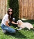 60 de minute de joaca pentru 2 persoane, alaturi de 4 catei din rasa Golden Retriever, langa Bucuresti
