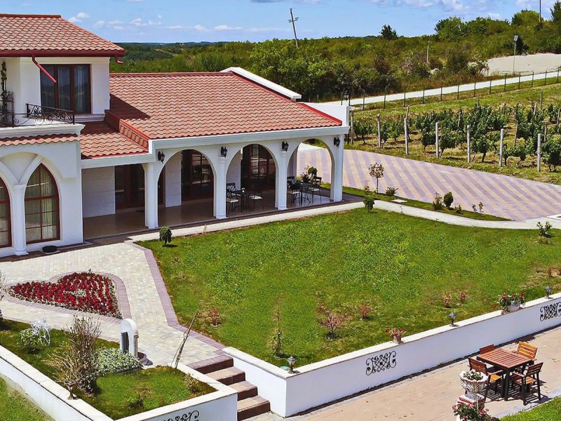 Wine Tasting for Groups at Valens Winery, in Valcea - Wine, Friends and Fun