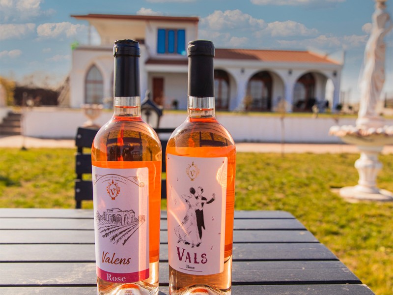 Wine Tasting for Groups at Valens Winery, in Valcea - Wine, Friends and Fun