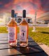 Wine Tasting for Groups at Valens Winery, in Valcea - Wine, Friends and Fun