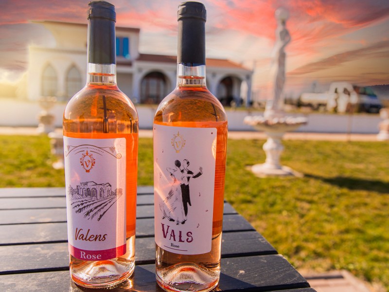 Wine Tasting for Groups at Valens Winery, in Valcea - Wine, Friends and Fun