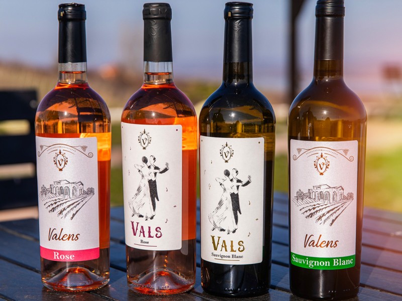 Degustare de vin pentru grupuri, la Crama Valens, in Valcea - Vinuri, Prieteni si Distractie