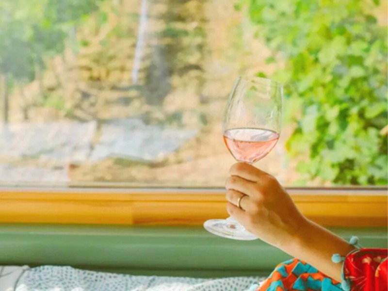 Cazare in vie pentru 2 persoane, cu degustare de vin, in Mocesti, Prahova