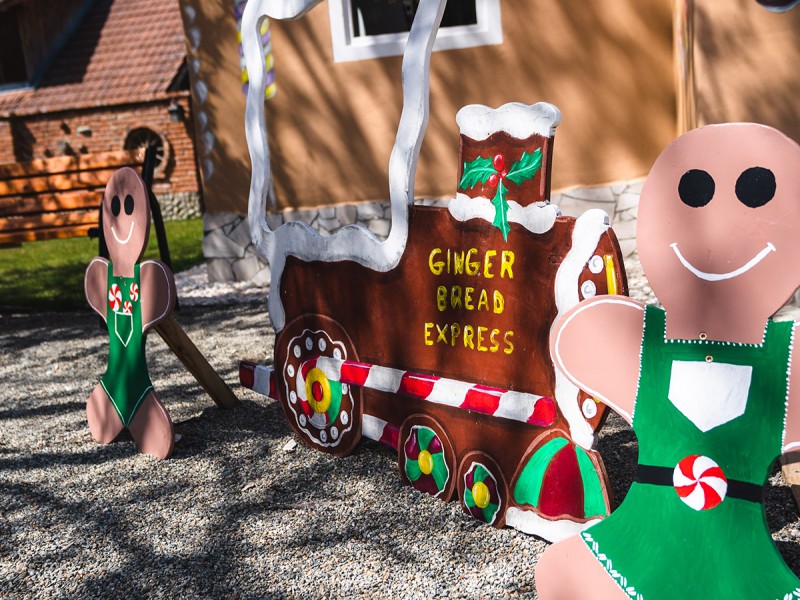 Descopera Taramul Magiei si al Distractiei – Parc tematic in Sibiu