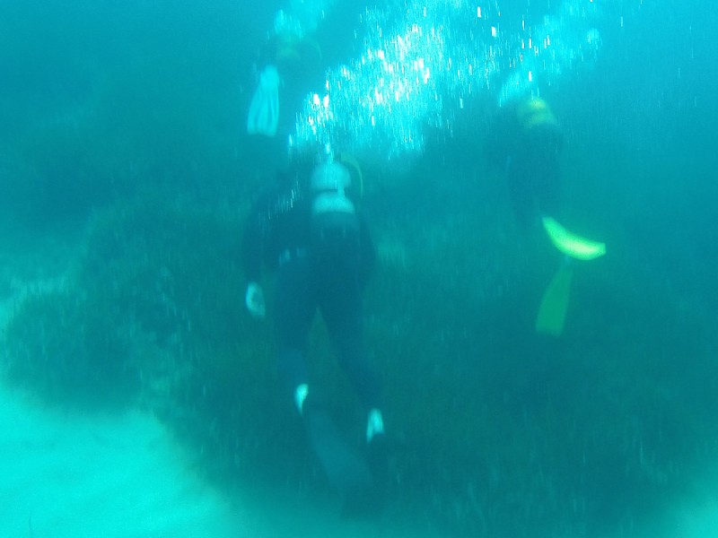 Descopera lumea subacvatica alaturi de un instructor certificat: Scufundare cu instructor, in Snagov