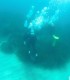 Certified Scuba Diving Course, in Snagov - Your First Step into the Underwater World