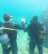 Certified Scuba Diving Course, in Snagov - Your First Step into the Underwater World