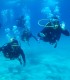 Certified Scuba Diving Course, in Snagov - Your First Step into the Underwater World