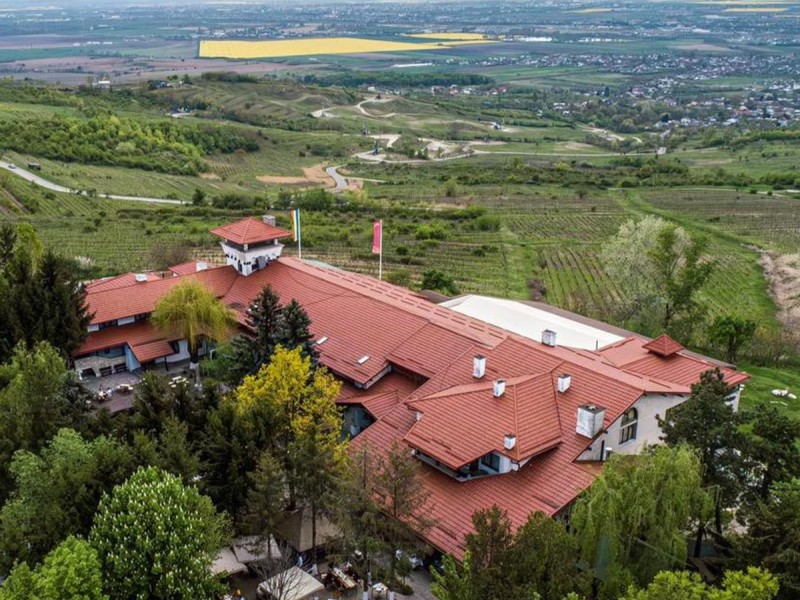 A getaway featuring wine tasting and accommodation for groups in the heart of the Boldesti-Scaeni vineyards, Prahova