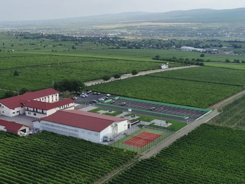 Wine, Relaxation, and Comfort - Wine tasting and accommodation for two at a 4-star hotel in Sarbi, Vrancea