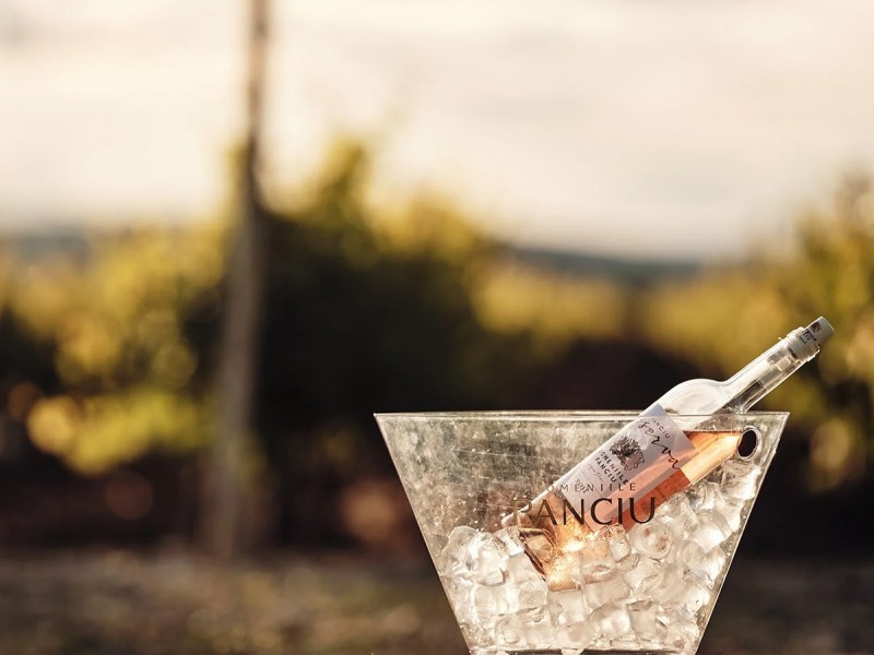 Wine, Relaxation, and Comfort - Wine tasting and accommodation for two at a 4-star hotel in Sarbi, Vrancea