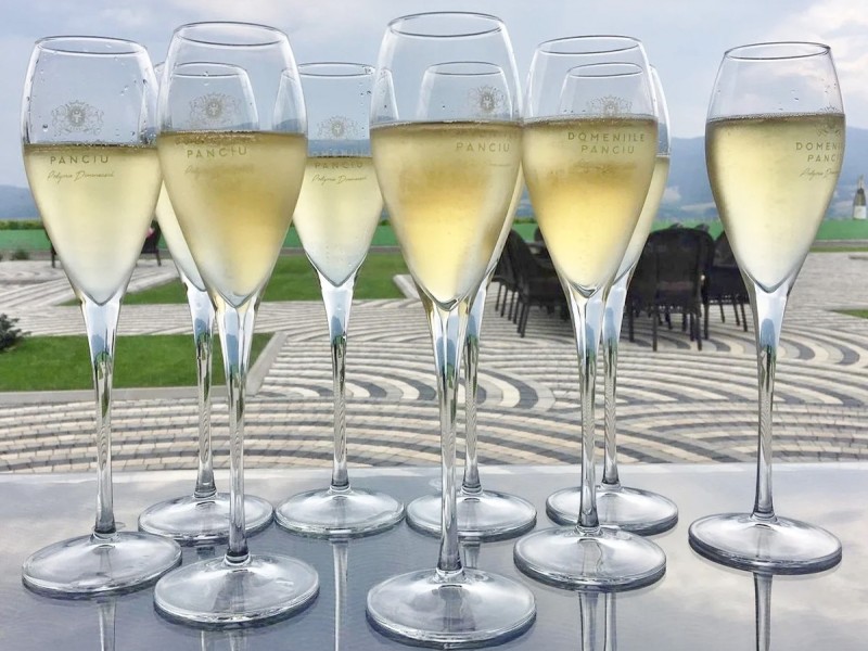Wine, Relaxation, and Comfort - Wine tasting and accommodation for two at a 4-star hotel in Sarbi, Vrancea