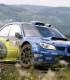 Adrenalina - vei conduce doua masini de raliu - BMW si Golf GTI
