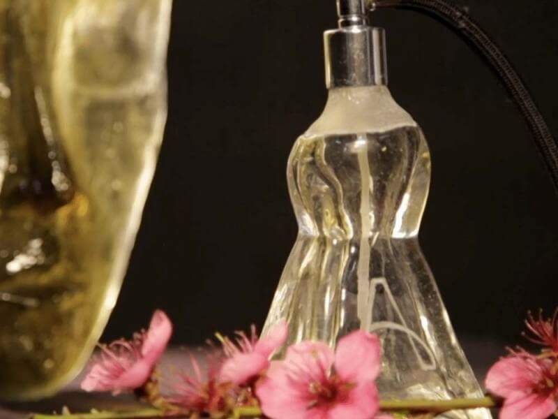 Ayurveda Cooking, Aromatherapy or both combined for 4 people