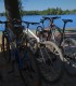 Tour of Bucharest by bicycle