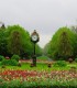Tour of Bucharest by bicycle