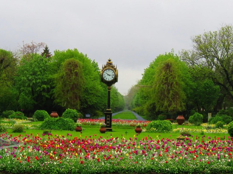 Tour of Bucharest by bicycle