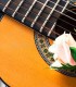 Memorable gift - A special song composed for her