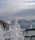 Snowshoeing in Poiana Brasov
