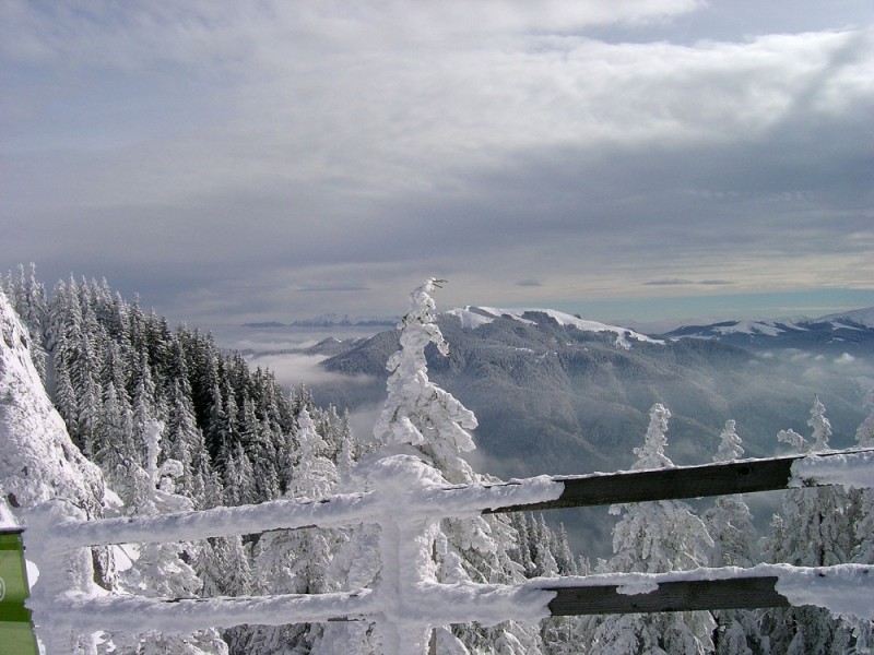 Snowshoeing in Poiana Brasov