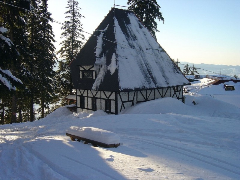 Snowshoeing in Poiana Brasov
