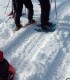 Snowshoeing in Poiana Brasov