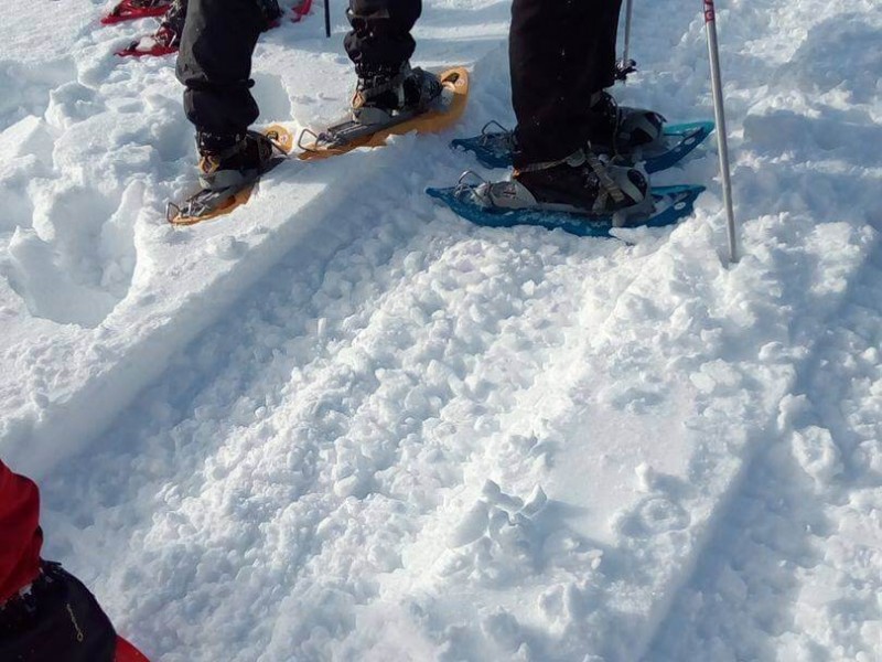 Snowshoeing in Poiana Brasov