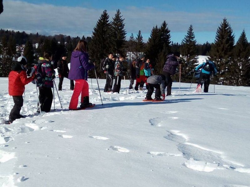 Snowshoeing in Poiana Brasov
