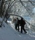 Snowshoeing in Poiana Brasov
