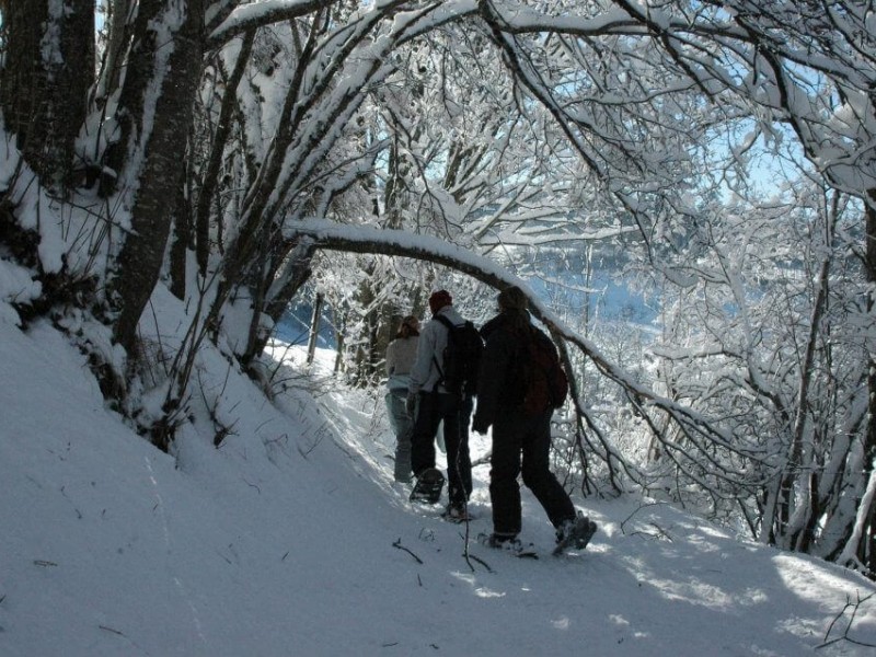 Snowshoeing in Poiana Brasov