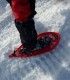Snowshoeing in Poiana Brasov