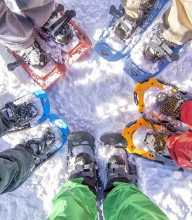 Snowshoeing in Poiana Brasov