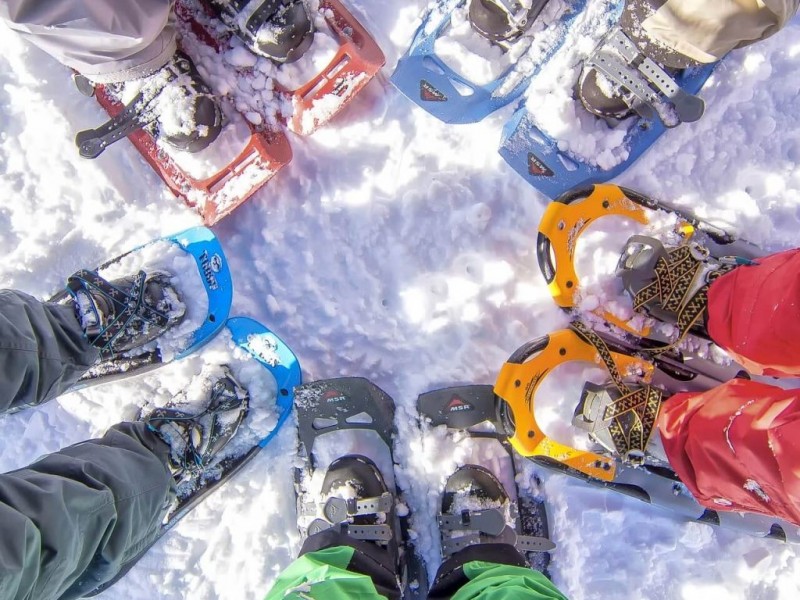 Snowshoeing in Poiana Brasov