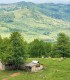 O zi de aventura offroad la bordul unui utv