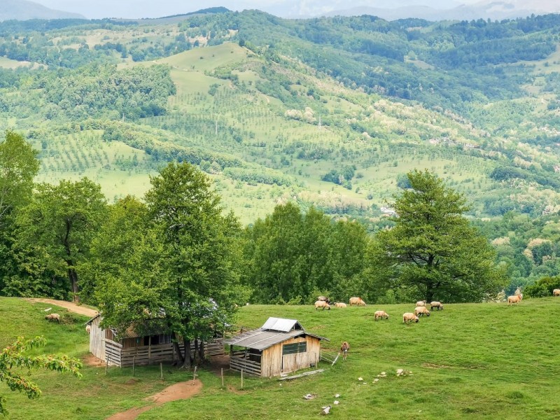 O zi de aventura offroad la bordul unui utv