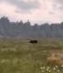 Depaseste-ti limitele la cel mai avansat simulator de vanatoare si tragere din Brasov