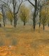 Depaseste-ti limitele la cel mai avansat simulator de vanatoare si tragere din Brasov