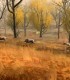 Depaseste-ti limitele la cel mai avansat simulator de vanatoare si tragere din Brasov