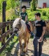 Initiation on horseback away from the urban, next to the the Leaota mountains