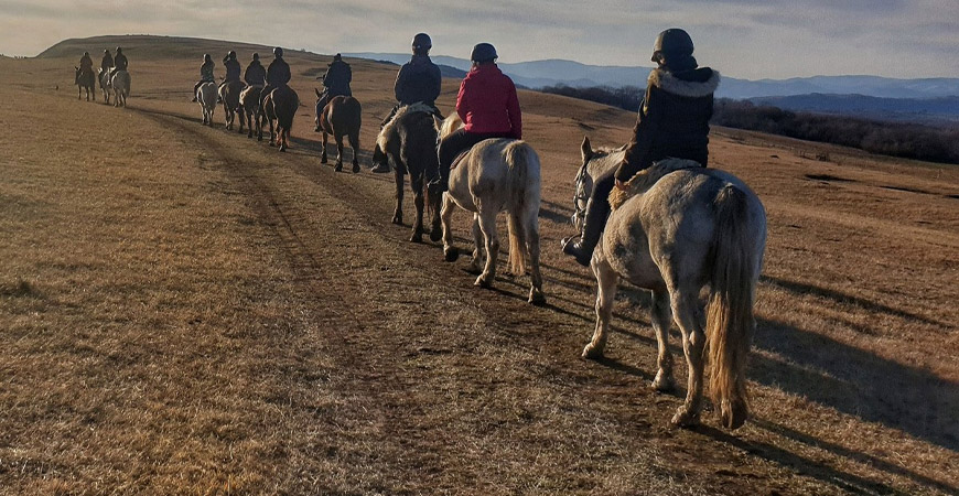Cadouri pentru părinți - 54 de Idei care să te inspire în alegerea cadoului