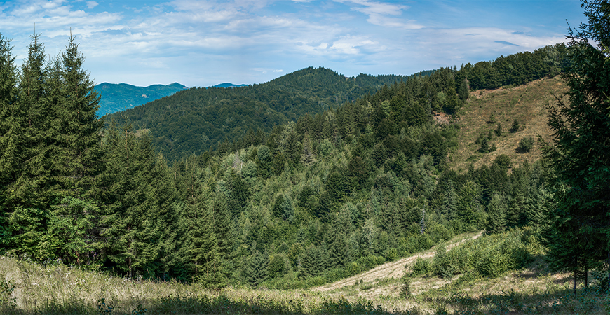 Obiective turistice Bucovina - Locuri de vizitat in Bucovina