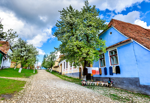 Satul Viscri - Obiective turistice, gastronomie, activitati
